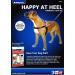 Anol/Pure Dog Listeners Stop Pulling Dog Training Harness & Lead Set - Large Size 7-8 (inc DVD) - Buy Online on GoSupps.com