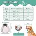 Soft Dog Cone Collar for Dog & Cat Recovery - Comfortable Alternative - Grey - M (7.5 Depth) - Buy Online on GoSupps.com