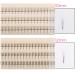 Scala 3 Roots Soft Black C Curl 0.07mm Individual Mink Eyelashes Cluster (9mm) - Buy Online on GoSupps.com