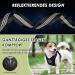 Eyin Dog Harness with Seat Belt | Adjustable Breathable Car Safety Harness (Black XXS) - 2 Carabiner Hooks & Buckle for Secure Travel - Buy Online on GoSupps.com