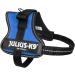 Buy K9 Powerharness XS/Mini-Mini Blue - Lightweight Dog Harness for Small Breeds | International Shipping Available - Buy Online on GoSupps.com