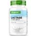 Lactase 13 000 Depot - 365 Sepismart Slow Release Tablets - High Dosed with 13 000 FCC Units - For Lactose Intolerance and Milk Intolerance - No Additives