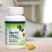 Univera RegeniFREE: All-Natural Aloe Vera & Turmeric Joint Supplement | Vegetarian | 60 Capsules - Buy Online on GoSupps.com