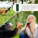 ASSCA Anti Barking Device Ultrasonic Dog Deterrent Anti Dog Barking Deterrent Devices with 3-in-1 Charging and Safe for People and Pets Mini Ultrasonic Dog Repeller is Suitable for Most Dogs Green - Buy Online on GoSupps.com