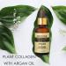 Collagen Face Oil with Argan Oil - 100% Natural Anti-Aging Treatment for Fine Lines & Wrinkles - Smoothing & Firming Botanical Skin Care - Buy Online on GoSupps.com
