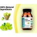 DR WAKDE'S Amla Capsules (Amalaki Indian Gooseberry Emblica officinalis 60 Veg Caps Plant-Based Supplement Ayurvedic Herb All Natural Vegan) - Buy Online on GoSupps.com