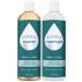Puracy Shampoo & Conditioner Set   Perfect Hair  Pure Ingredients   Days of Great Hair for Fine  Medium  or Color-Treated Hair Types  Rosemary Oil to Stimulate Hair Growth & Thickness  with 20+ SuperPlant Ingredients  12...