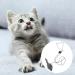 Magideal 2 Piece Interactive Cat Mouse Toys - Plush Hanging Door Exercise Catchers for Kittens - Buy Online on GoSupps.com