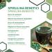 ERBOTECH Spirulina Tablets 100g Pack Approximately 400 Capsules 100% Pure and Vegan Seaweed Energy Source High in Protein Vitamins Magnesium Strengthens the Immune System - Buy Online on GoSupps.com