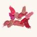 Catrice Scandalous Matte Lipstick No. 090 - Vegan Red Moisturizing & Long-Lasting | 3.5g Blame the Night - Alcohol & Paraben-Free - Buy Online on GoSupps.com