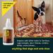 Deter Dogs from Chewing with Don't Chew Dare Indoor Chewing Prevention - Orange Bitters - Buy Online on GoSupps.com