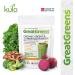 GreatGreens - Organic Greens & Superfood Powder - High Fibre Smoothie Drink - Green Food Fruits Vegetables Herbs Sprouts & Mushroom - Nutritious Raw Organic Greens Powder - 300g - Buy Online on GoSupps.com