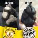 LEGITPET Dog Paw Balm Wax - Soothing Moisturizer with Coconut Oil, Shea Butter & Beeswax - 2 oz - Buy Online on GoSupps.com