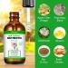 Cat Antibiotics & Supplements - Immune Support, Allergy Relief, UTI Prevention - Chicken Flavour - 2 Fl Oz - Buy Online on GoSupps.com