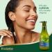 Olive Shampoo with Organic Olive Oil | Hydrating & Paraben-Free Shampoo for Dry Damaged Hair | Rich in Vitamins A D & E | 27 fl oz - Buy Online on GoSupps.com
