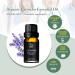 Organic Lavender Essential Oil - 100% Pure USDA Organic for Aromatherapy & Skin Care | 10ml by B BONNIE HOUSE - Buy Online on GoSupps.com