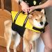 Dog Life Jacket Dog Life Vest Camo with Reflective Stripes Adjustable Dog Lifesaver Pet Life Preserver Dog Life Jackets with High Buoyancy Swimsuit for Small Medium and Large Dogs Color-A L - Buy Online on GoSupps.com