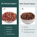 Premium Grade A Sichuan Peppercorns 4 oz - Authentic Szechuan Pepper with Strong Flavor for Kung Pao Chicken and Mapo Tofu - Tingle and Numbing Effect, Less Seeds - Buy Online on GoSupps.com