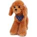 Heionia Teddy Dog Plush Toy - Kawaii Brown Poodle Cuddly Toy (20cm) | Perfect Gift for Kids & Girls | International Shipping Available - Buy Online on GoSupps.com