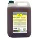 CDVet natural products Equigreen intestinal activity 5 liters - support of the intestinal condition - digestive problems - intestinal flora - immune system - valuable lactic acids+antioxidants+enzymes+vitamins - 5 l (1 Pack)