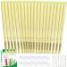 20 Pcs Ear candles All Natural Ear Candles Beeswax Candling Cones Lindastas ear wax candles 100%Non-Toxic Cylinders Fragrance Hollow Cone Candles with(20 Ear candle)+10 Protective Disks+30 Cotton Swab Yellow