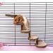 Ruitong Natural Apple Wooden Hamster Chew Toy - Bridge Ladder for Small Animals - Buy Online on GoSupps.com