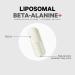Codeage Liposomal Beta-Alanine Supplement - CarnoSyn - 180 Capsules for Pre & Post Workout - Non-GMO 2-Month Supply - Optimal Liposomal Delivery - Buy Online on GoSupps.com