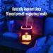 Himalayan Pink Salt Diffuser & 10 Essential Oils - 2-in-1 Therapeutic Device | Aromatherapy & Ionic Salt Therapy | 400ml Ultrasonic Vaporizer with Ambient Glow - Buy Online on GoSupps.com