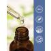 Carlyle L-Methylfolate Drops 1mg | 2 Fl Oz | with Organic Glycerin | Liquid Sublingual Supplement | Fruit Punch Flavor | Vegetarian Non-GMO - Buy Online on GoSupps.com