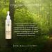 Dr TWL Miel Honey Cleanser | Dermatologist-Formulated Face & Body Wash for Sensitive Skin Acne & Odour Control Buy Internationally - Buy Online on GoSupps.com