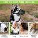 Dog Muzzle NiCoLa Soft Adjustable Mesh Muzzles for Small Medium Large Dogs Breathable Pet Mask Dog Training Muzzle with Adjustable Straps Prevent Biting Chewing and Licking (L) Black-L - Buy Online on GoSupps.com