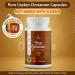 PRESERVE Pure Ceylon Cinnamon Capsules 2 000mg Two Month Supplement | Made in Sri Lanka |Non-GMO Gluten-Free True Cinnamomum from Sri Lanka 100% Pure Cinnamon (NOT Mix with Cassia). - Buy Online on GoSupps.com