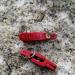 Uncedaran 7pcs Red Line Clip Snap Weight Release Clips for Offshore Fishing - Heavy Tension Snap Release for Planer Board, Kite, Downriggers & Outriggers - Buy Online on GoSupps.com