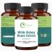 Yatchi retail White Kidney Beans Extract - Buy Online on GoSupps.com