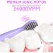 Kids Sonic Electric Toothbrush - Rechargeable Cute Bear Design for Boys and Girls 3-12, 30s Reminder, 2 Min Timer, 5 Modes - Includes 6 Brush Heads and Wall-Mounted Holder (Purple) - Buy Online on GoSupps.com