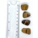 Tiger Eye Medium Tumble Stone - Natural Crystal for Energy and Protection - Buy Online on GoSupps.com