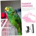 DOITOOL 3 Sets Bird Leash Suspend Parrot Harness and Leash Conure Birds Flying Harness Kit Gecko 12X6X1.3CMx3pcs Pinkx3pcs - Buy Online on GoSupps.com