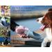 PETKIT EVERSWEET Portable Dog Water Bottle - BPA Free 400ml Pet Drinking Bowl (Gray) - Ideal for Travel & Outdoor Use - Buy Online on GoSupps.com