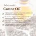 Holistic Market Co. Castor Oil 8oz Certified Organic Cold Pressed Hexane Free Glass Bottle Extra Virgin Premium Quality 100% Pure For Use In Castor Oil Packs - Buy Online on GoSupps.com