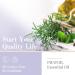 PHATOIL Rosemary Essential Oil 10ML - Pure, Undiluted, Cruelty-Free - Home Diffuser Oil - 10.00 ml - Buy Online on GoSupps.com