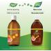 Nature's Way NutraSea Omega-3 and Vitamin D Supplement - Fish Oil with EPA and DHA Support Healthy Heart and Brain Help Build Strong Bones and Teeth & Help Support Immune System - Grapefruit Tangerine 500 ml Liquid Grapefruit Tangerine 500 ml (Pack of 1) - Buy Online on GoSupps.com