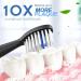 Szong Adult Toothbrush 4 Pack - Black Brushes for Effective Oral Care - Buy Online on GoSupps.com