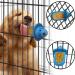 Dog Crate Peanut Butter Toy | Slow Feeder & Anxiety Reducing Puppy Training Aid - Buy Online on GoSupps.com