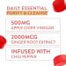 Nutracure 2-Pack Apple Cider Vinegar Gummies for Weight Loss, Detox & Cleanse - Non-GMO with The Mother | ACV Gummies - Buy Online on GoSupps.com