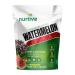 Watermelon Seed Protein Powder - Plant-Based Protein Enriched with Magnesium Iron and Antioxidants - Ideal for Post-Workout Recovery & Sustainable Nutrition - 21 Servings (16 oz / 454g)