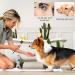 4 Pieces Double Sided Pet Eye Comb Tear Stain Remover Comb Dog Tear Comb Dog Tear Brush Multifunctional Pet Grooming Comb for Large Medium and Small Dogs Cats to Remove Crust Mucus and Fleas - Buy Online on GoSupps.com