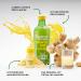 Monastery Kitchen Bio Ingwer Shot - Vegan Ginger Shots 3x360ml + 21x30ml | Sweet-Sharp Taste | Perfect Gift | International Shipping Available - Buy Online on GoSupps.com