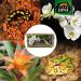 Terra Exotica Sphagnum Moss - Premium 300g Peat Moss for Garden Houseplants & Terrariums | Fast International Shipping - Buy Online on GoSupps.com