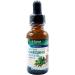 Betel Natural Premium Oregano Oil 75% Carvacrol - 1 fl oz - Buy Online on GoSupps.com