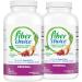 Fiber Choice Daily Prebiotic Fiber Chewable Tablets Assorted Fruit 90 Count (Pack of 2)